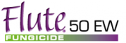 Flute logo