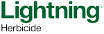 Lightning logo