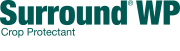 Surround logo